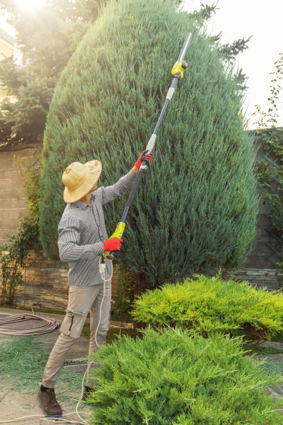 Mulching Services in La Quinta, CA